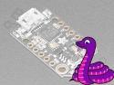 Adafruit Trinket M0 - Mini Microcontroller 4-6V - Adafruit 3500